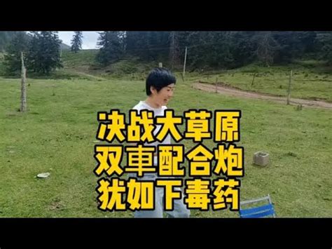 下午下班坐車到下營下車在樹下下棋比高下|李志柏